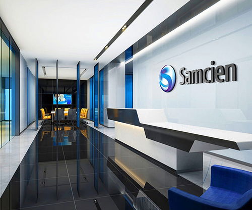 廣州標(biāo)志設(shè)計(jì)公司的專業(yè)實(shí)力 服務(wù)上市公司143家及40多家500強(qiáng)企業(yè)，融合軟件開發(fā)創(chuàng)新