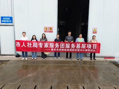深入養殖一線送技術 助力蛋雞產業提效益——市人社局第五批專家服務團楊澤林團隊赴長壽區葛蘭鎮開展技術服務